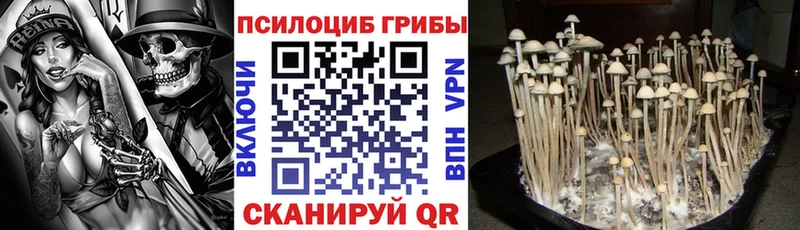 Галлюциногенные грибы GOLDEN TEACHER Куртамыш